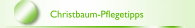 Christbaum-Pflegetipps
