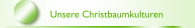 Unsere Christbaumkulturen